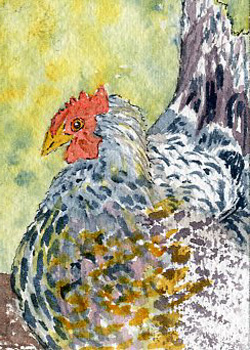 Thinking About Breakfast Anne Irish Middleton WI watercolor  SOLD